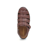 dark-brown