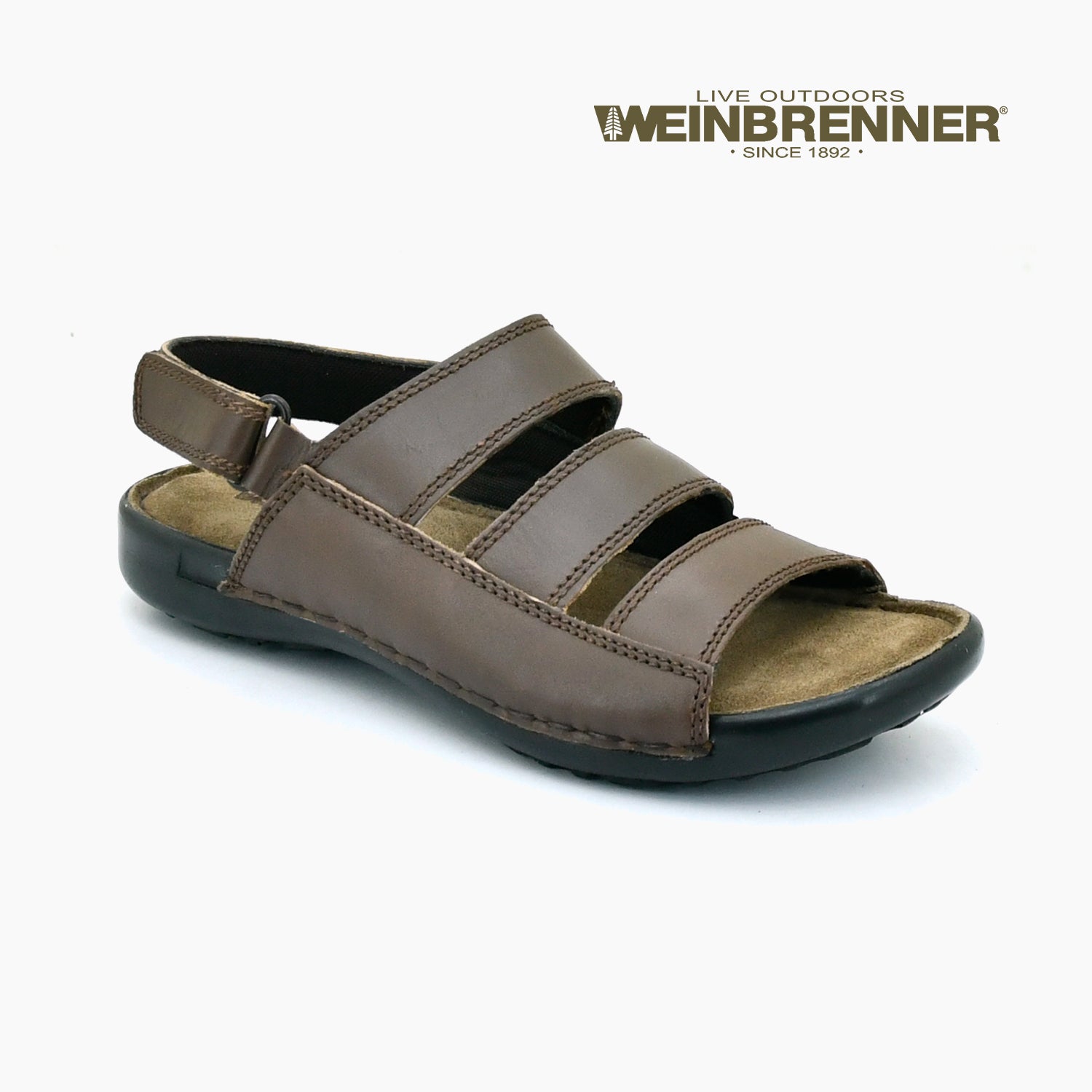 dark-brown