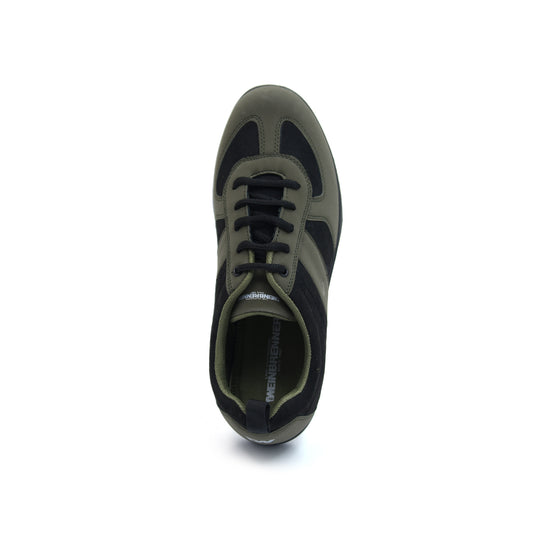 olive
