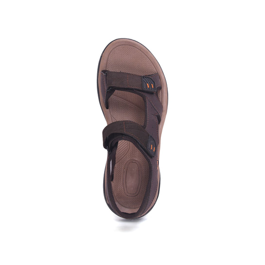 dark-brown