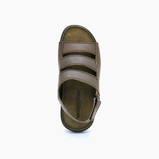 dark-brown